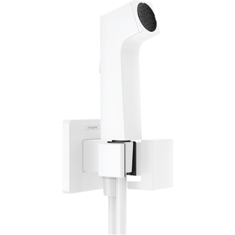 immagine 0 del prodotto hansgrohe bidette douchette main 1jet e ecosmart pour eau
