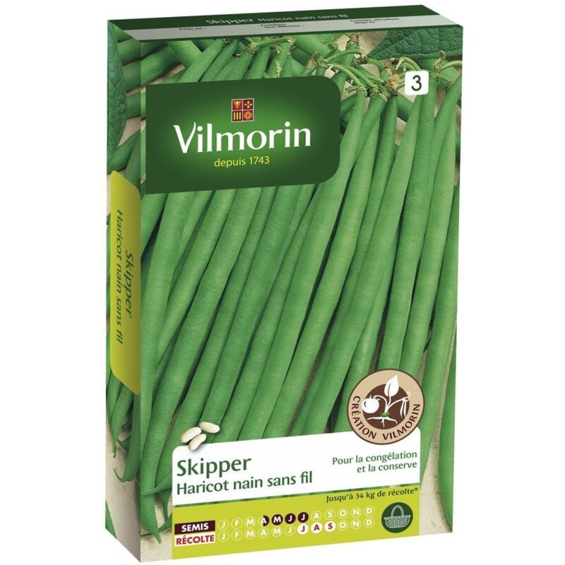 foto del prodotto haricot skipper sachet de graines cr ation recommand pour cong lation vilmorin