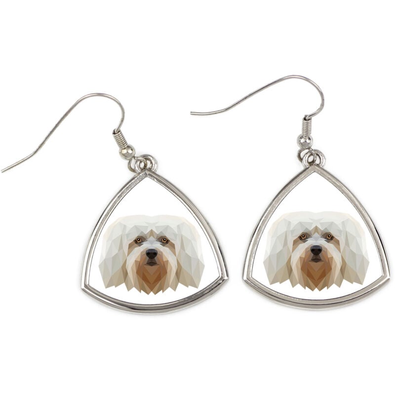 foto del prodotto havanese orecchini con foto e scritta cane geometrico art dog