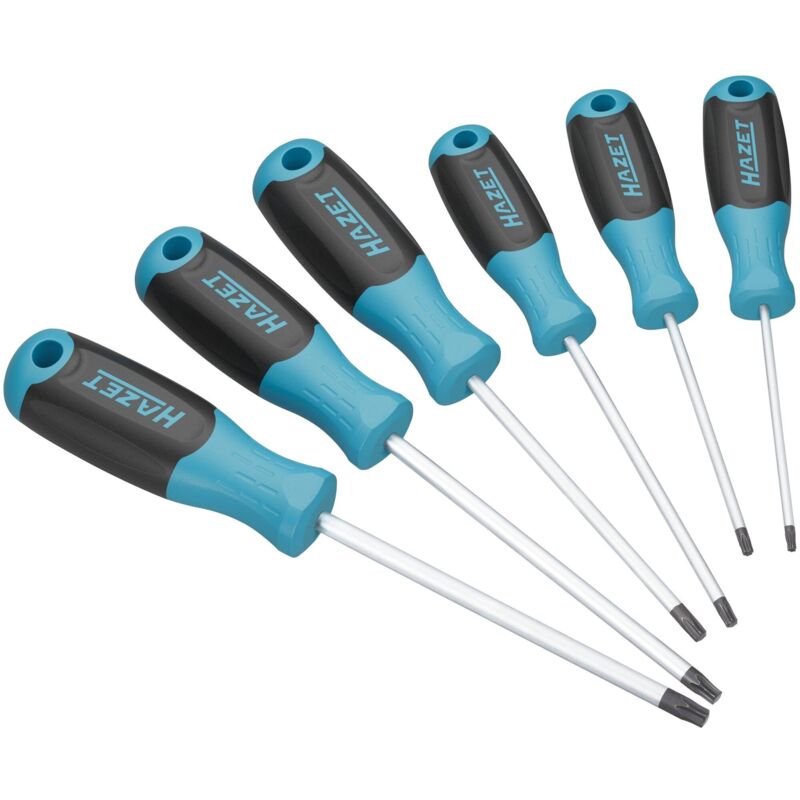 immagine 0 del prodotto hazet giraviti 811t 6 profilo interno torx 6 pezzi t10 t15 t20 t25 t27 t30