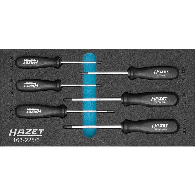 foto del prodotto hazet serie di giraviti torx 163 225 6 profilo interno torx 6 pezzi t10 t30