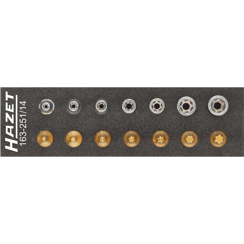 foto del prodotto hazet serie di utensili torx 163 251 14 attacco quadro, cavo, 1 4 di pollice 6,3 mm profilo esterno torx , profilo interno torx 