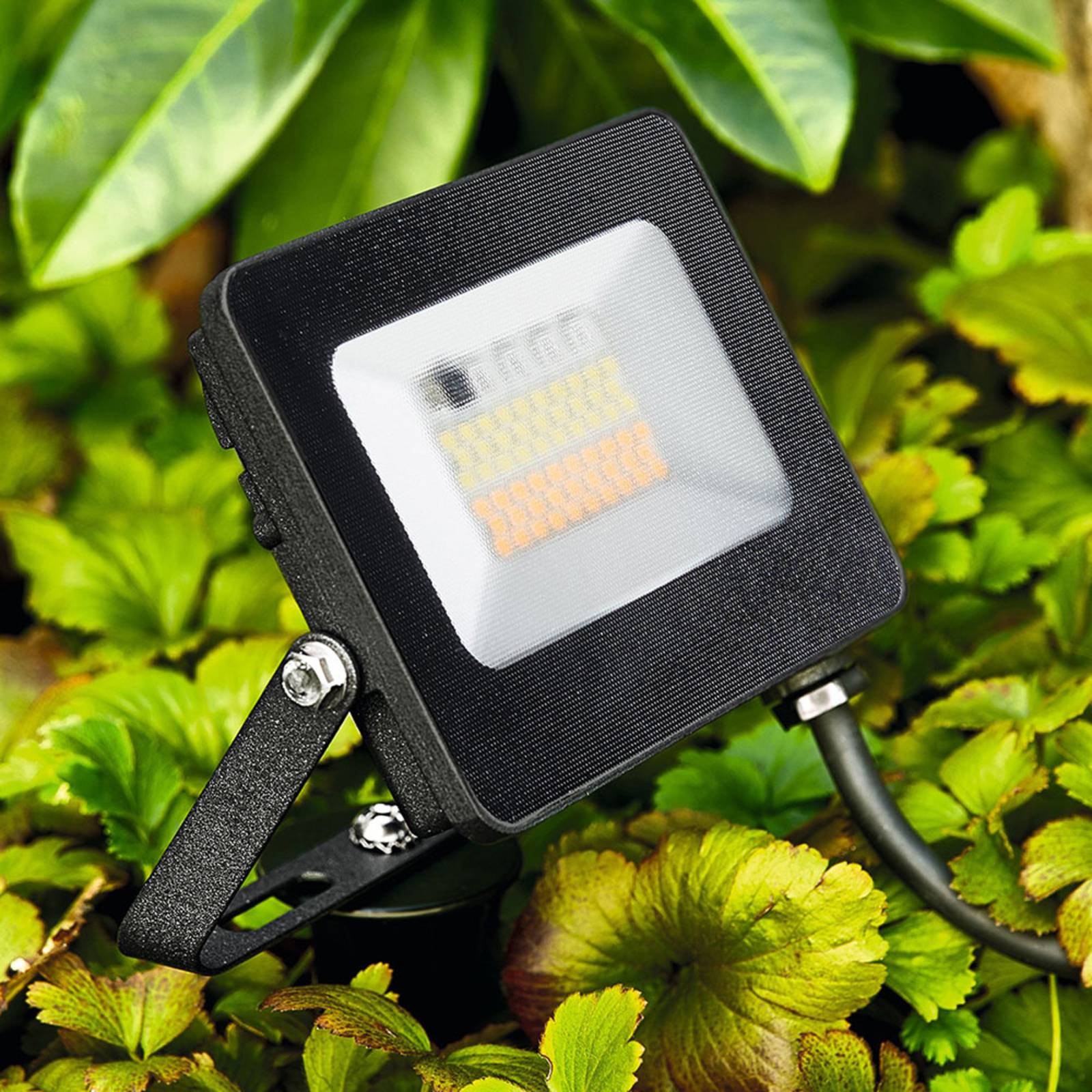 foto del prodotto heitronic faretto da esterno a led kingston con picchetto a terra, rgbw