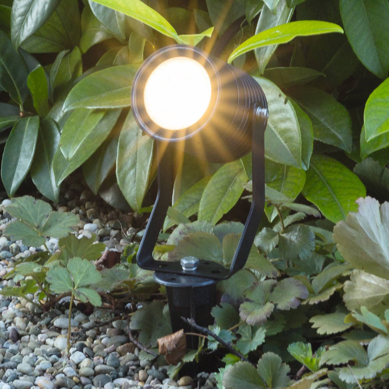 foto del prodotto heitronic faretto led con picchetto pasas orientabile