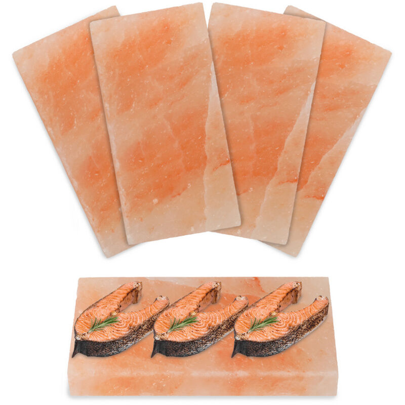 foto del prodotto hengda swanew piatto di sale per pesce alla griglia in pietra salata 20x10x2.5 cm griglia per barbecue 4x