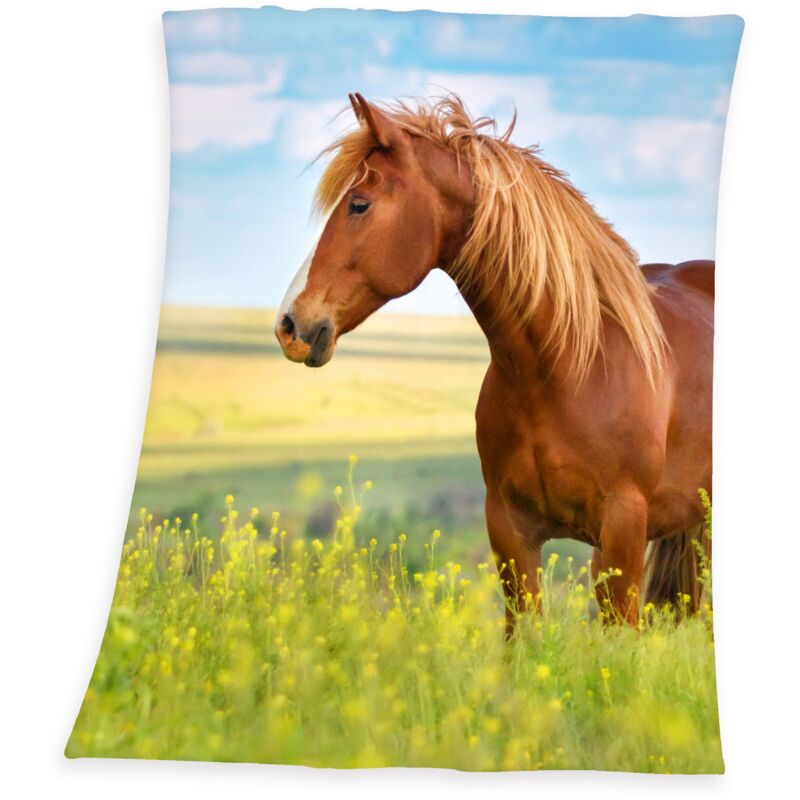 foto del prodotto herding young collection coperta plaid, cavallo, 130 x 160 cm, poliestere