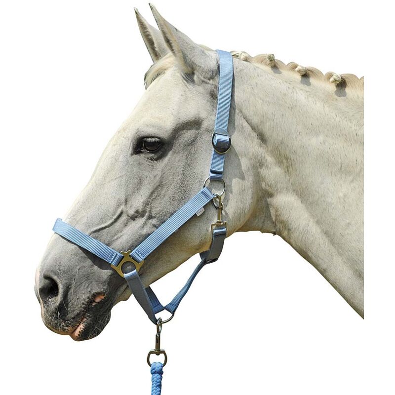 foto del prodotto hkm capezza in nylon regolabile modello stars economy pony, verde chiaro 5802