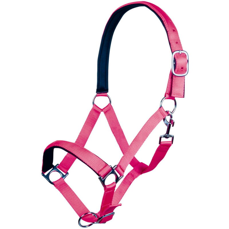 foto del prodotto hkm capezza per cavalli con imbottitura morbida modello stars softice shetland 0, fucsia neon 8045