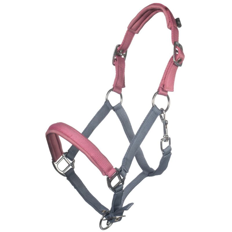 foto del prodotto hkm sport equipment cavezza modello barnie in nylon imbottito in softprene per pony e shettland pony, azzurro fumo e rosa