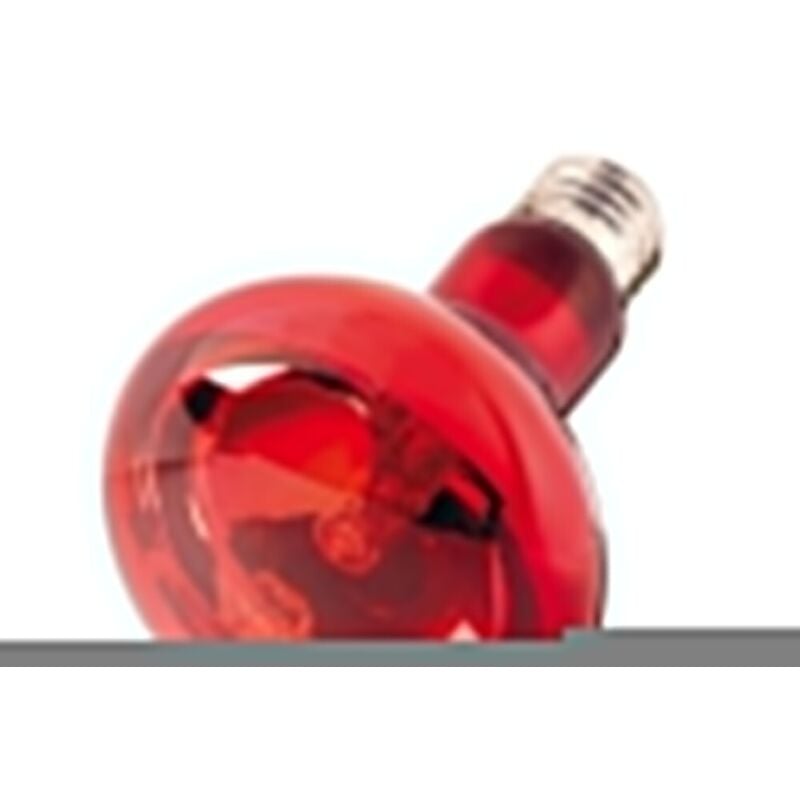 foto del prodotto hobby infrared light lampada a raggi infrarossi wattaggio riscaldatori e lampade terrario 60w