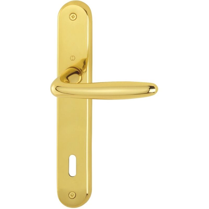 foto del prodotto hoppe 2857622 roissy maniglia a piastra lunga, distanza 90 mm, per porte di spessore 35 54 mm, in ottone lucido