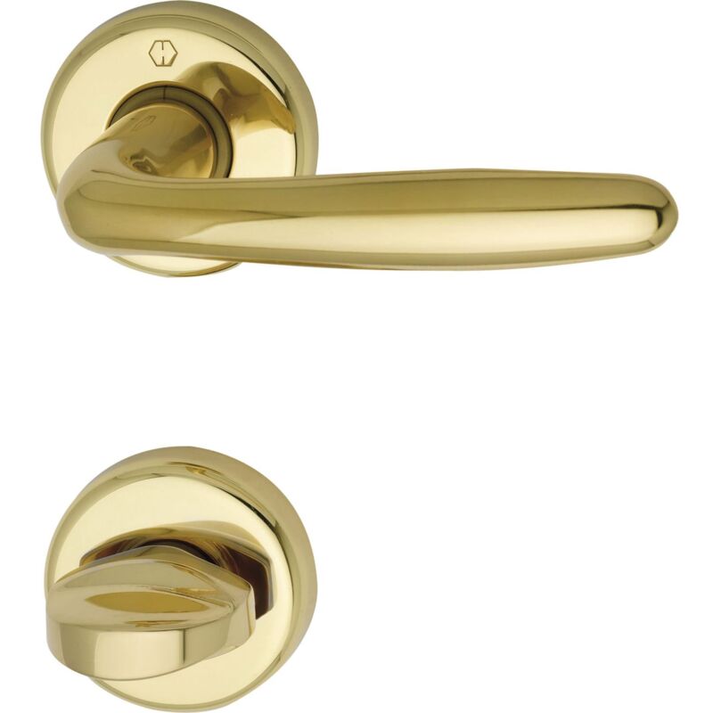 foto del prodotto hoppe 3066806 maniglia roissy con rosette wc, in ottone lucido, lucidato, cromata