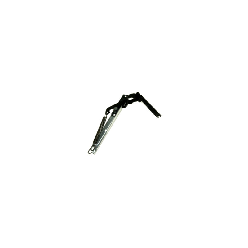 foto del prodotto hotpoint ariston cerniera della porta originale forni, fornelli elettrici e a gas ariston hotpoint hotpoint 325428