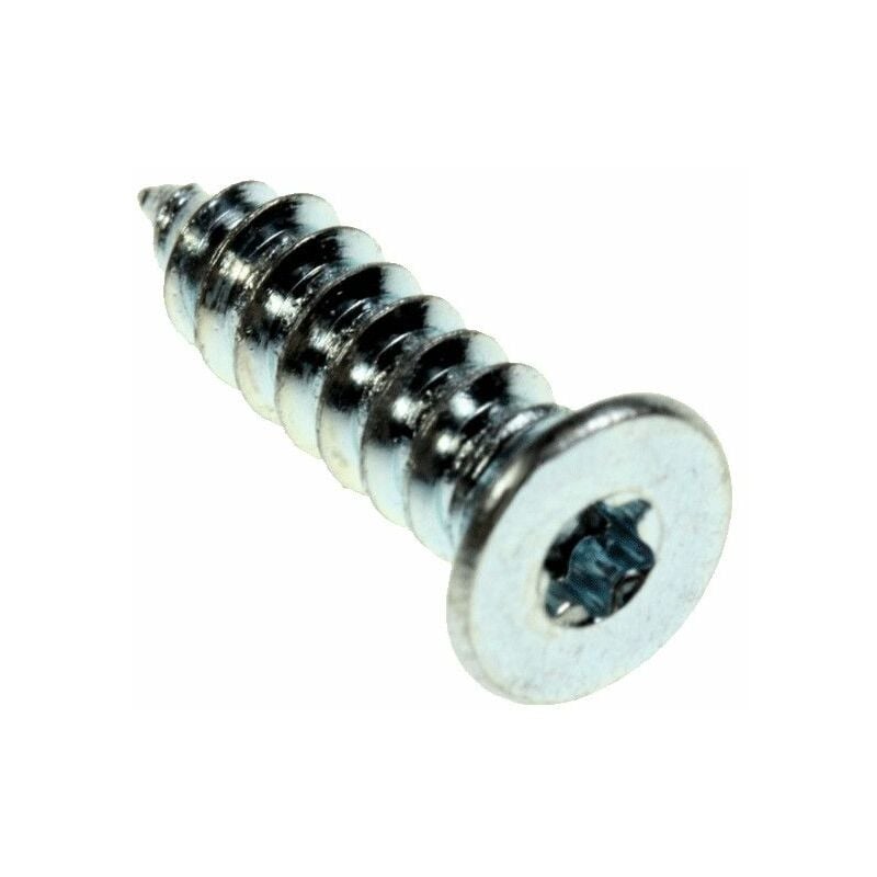 foto del prodotto hotpoint ariston vite singola del controporta originale lavastoviglie ariston hotpoint 3346918055005946756