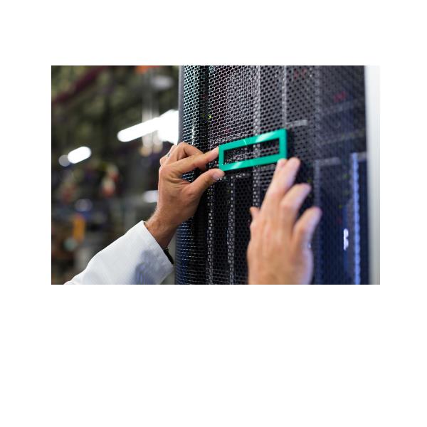 foto del prodotto hpe dl38x gen10 2 drive nvme sl