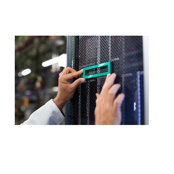 foto del prodotto hpe ml30 gen11 ns204i-u cbl kit - p65098-b21