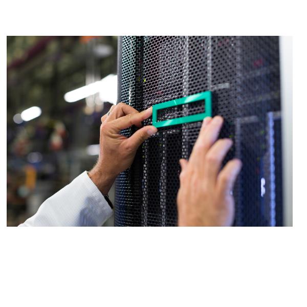 foto del prodotto hpe ml350 gen11 ns204i u enable kit