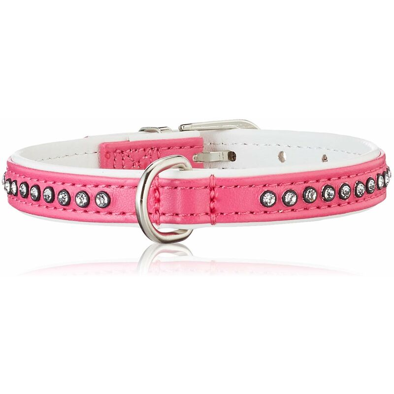 foto del prodotto hunter collana di cani, sint skin eacute, luminoso
