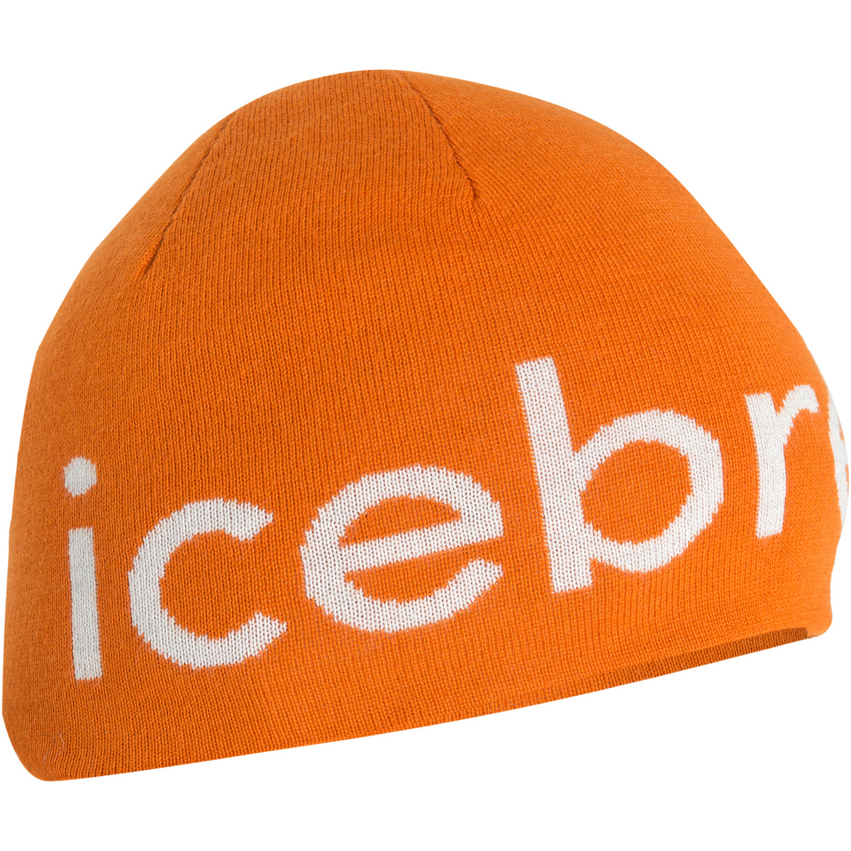 foto del prodotto icebreaker berretto