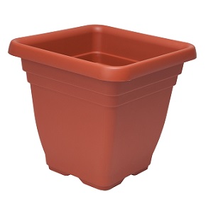 foto del prodotto ics vaso quadro laurus cm.35 x h.33 lt.19