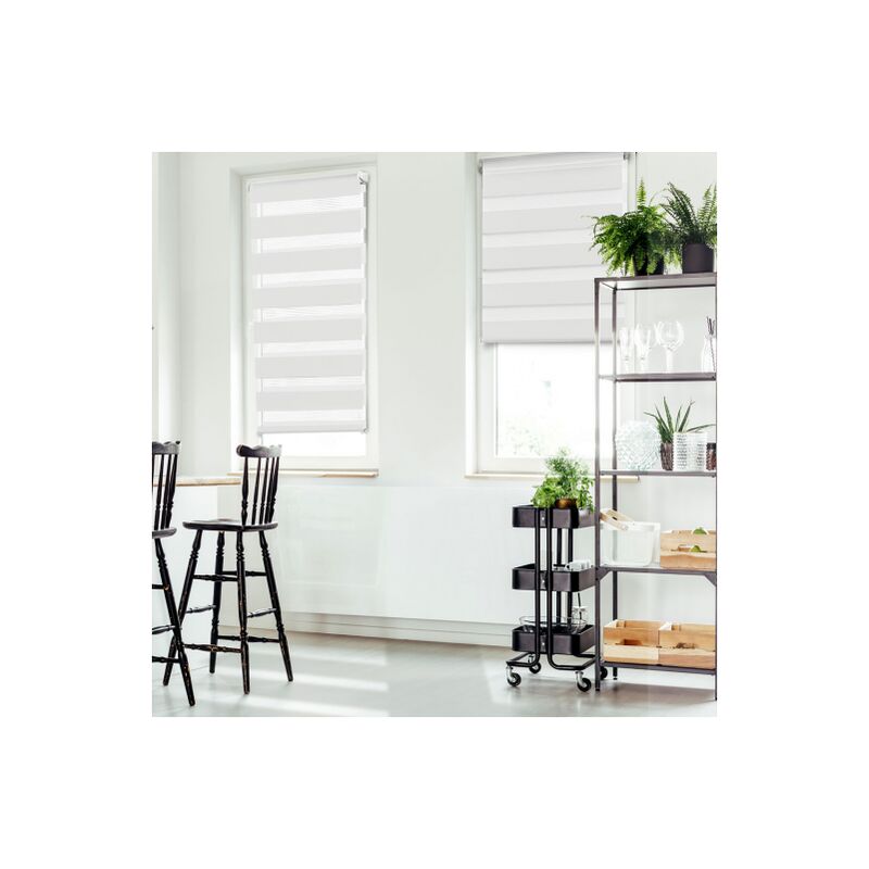 foto del prodotto idmarket set di 2 tende a rullo, giorno e notte, 55x170 cm, bianco