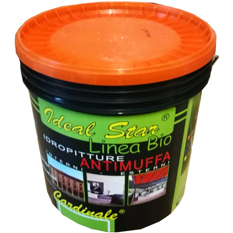 foto del prodotto idropittura semilavabile antimuffa ideal star 4 lt
