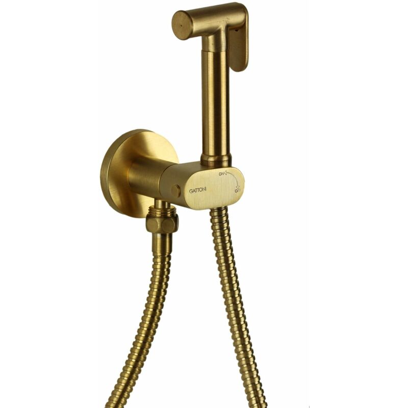 foto del prodotto idroscopino pulizia wc in colore oro spazzolato gattoni rt021sg oro spazzolato