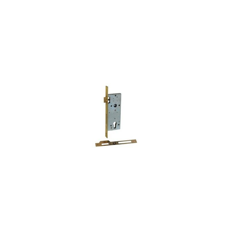 foto del prodotto idroweb f.lli facchinetti serratura legno inf. 2m s art.i15 con contropiastra e.35 f.22 f.lli facchinetti