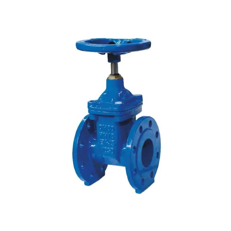 foto del prodotto idroweb valvola a saracinesca a cuneo gommato con corpo piatto in ghisa serie gtk 16 pn16 dn100 ambra water
