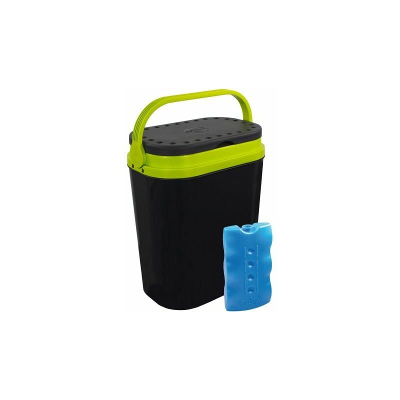 foto del prodotto igo solaris 12 l mattonella ghiaccio 400 g ass. fr