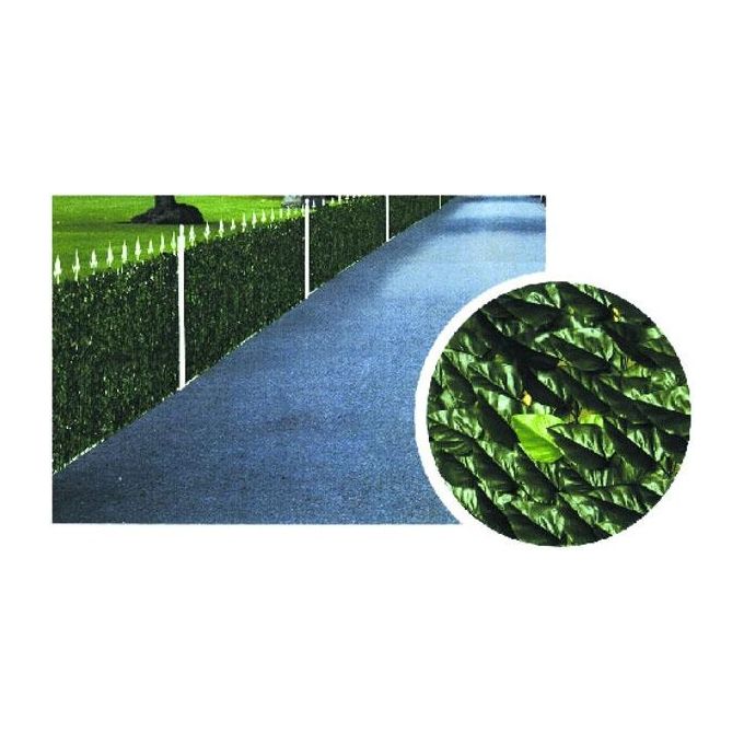 foto del prodotto il campo siepe lauro h 100 m 3 - 00029