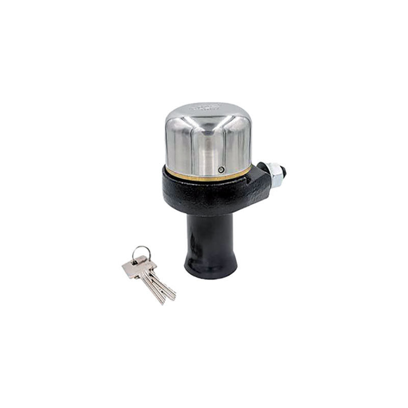 foto del prodotto ilsa sistema sicurezza serrande sc100 completo chiavi 2 ka2 1 pz