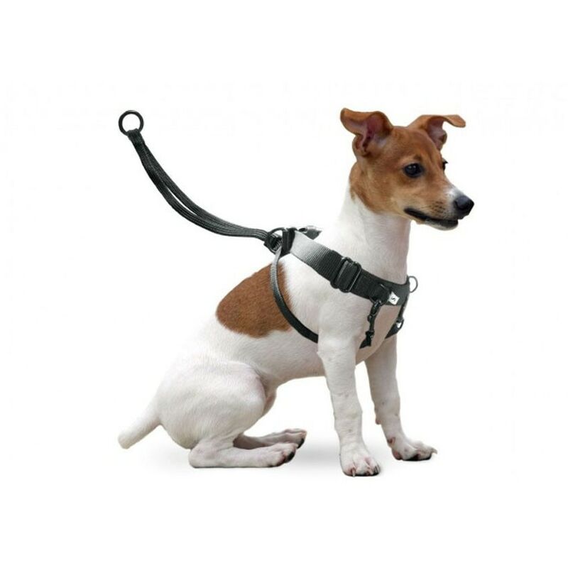 foto del prodotto imbracatura da allenamento easy walker xl offerta esclusiva