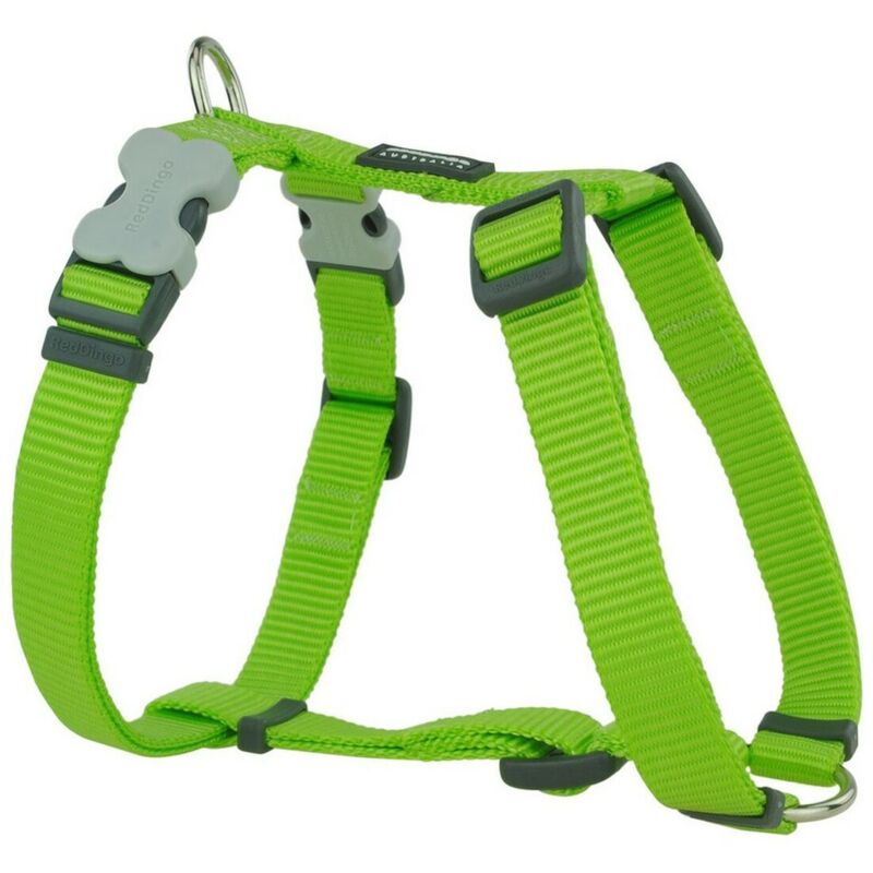 foto del prodotto imbracatura per cani red dingo liscio 37-61 cm lime