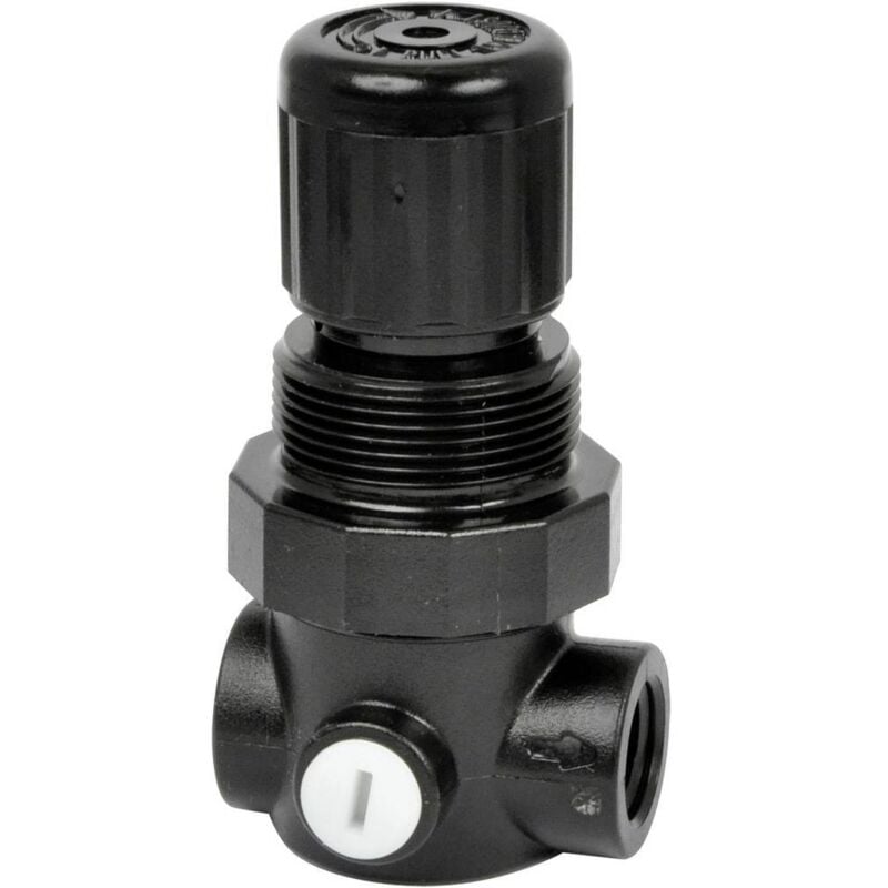 foto del prodotto imi norgren r91w 2gk nen regolatore di pressione per liquidi 1 4