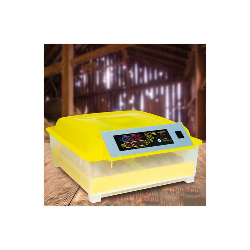 foto del prodotto incubatrice automatica per 48 uova covatrice macchina per cova artificiale incubazione uova