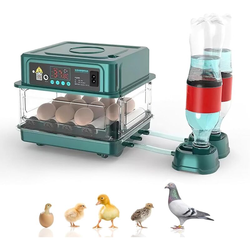 foto del prodotto incubatrice automatica per uova, con monitor dell umidit , rotazione automatica delle uova, aggiunta automatica di acqua e illuminazione delle uova,