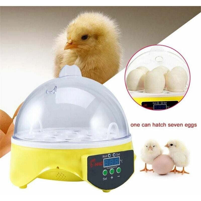foto del prodotto incubatrice digitale automatica per 7 uova di gallina