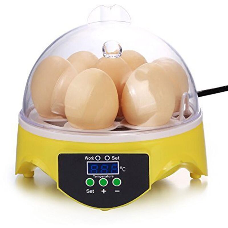 foto del prodotto incubatrice per uova digitale automatica per 7 uova incubatrice per uova con rotazione automatica ue bebusingoto