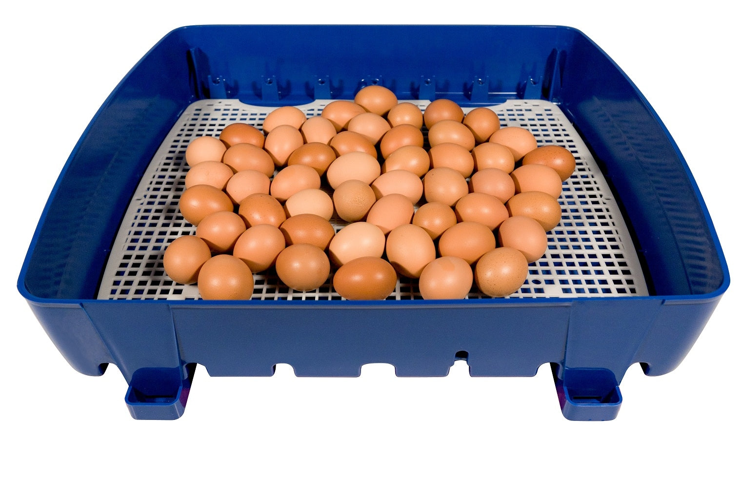 foto del prodotto incubatrice per uova semi automatica professionale borotto real 49
