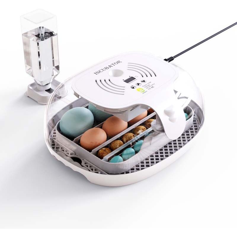 foto del prodotto incubatrici per uova da cova incubatrice con rotazione automatica delle uova e display per il controllo della temperatura incubadora de huevos per