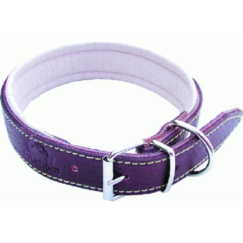 foto del prodotto inferramenta collare per cane larg. mm 25 lung.cm 50 pz 6