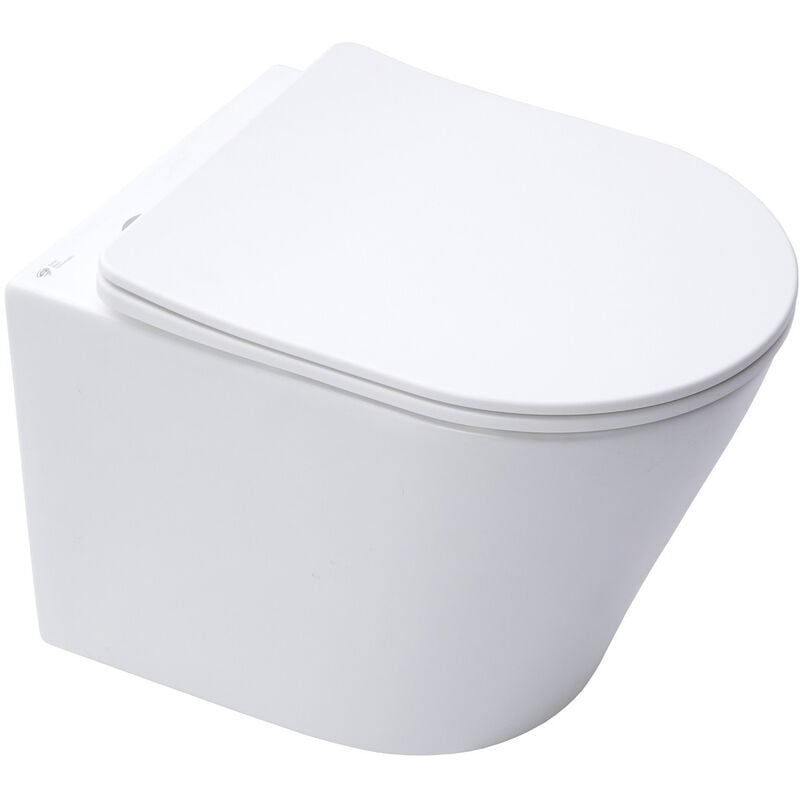 foto del prodotto infinitio wc sospeso senza flangia, fissaggi invisibili, sedile anticaduta, bianco opaco satinf010rrexpw swiss aqua technologies