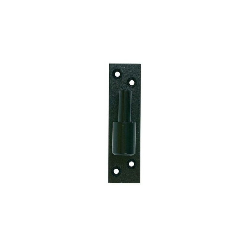foto del prodotto ing fixations cerniera su piastra di cataforesi nera fissi ing 14 mm ferro 50x6 a000895
