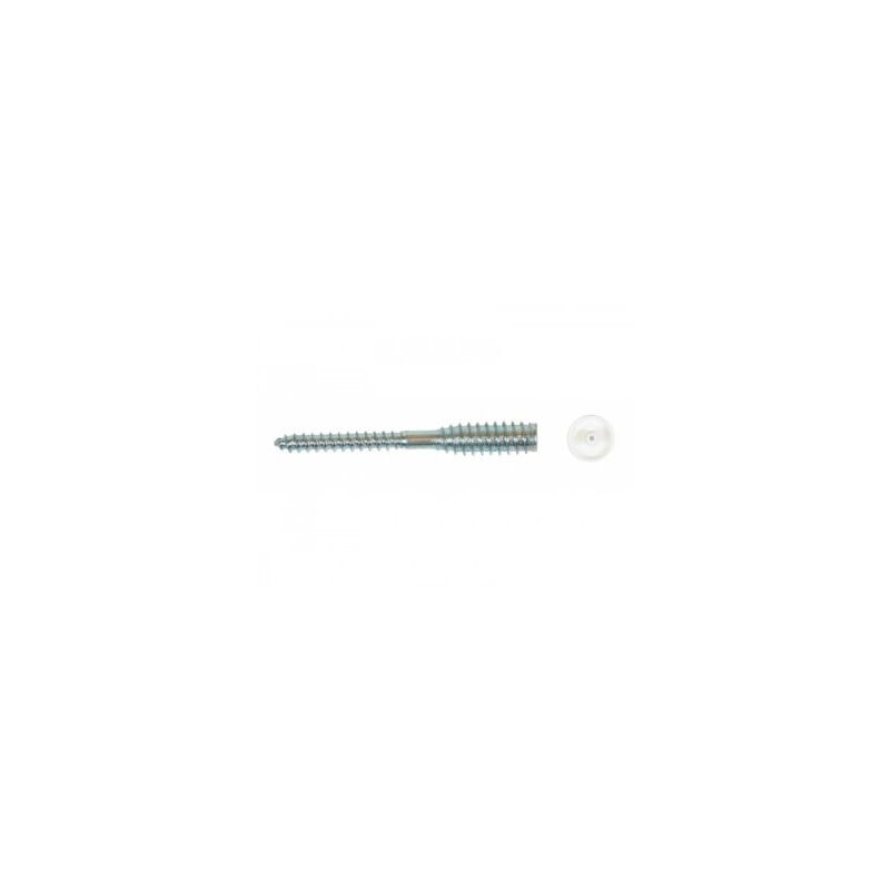 foto del prodotto ing fixations confezione da 100 viti a testa cilindrica ing fixing in pvc 6x70 mm filetto 33 mm tappo bianco a430140