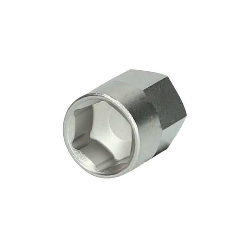 foto del prodotto inserto speciale esagonale con magnete, 10,0 mm