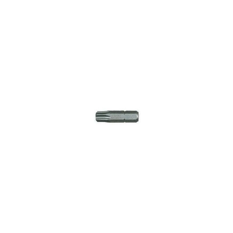 foto del prodotto inserto torx con foro tx25 mm.25