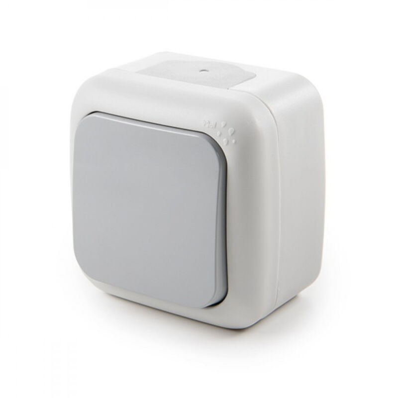 foto del prodotto interruttore 10a 250v ip54 grigio