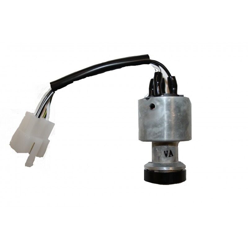 immagine 0 del prodotto interruttore a chiave per trattorino tagliaerba 1184500751, 118450075 1