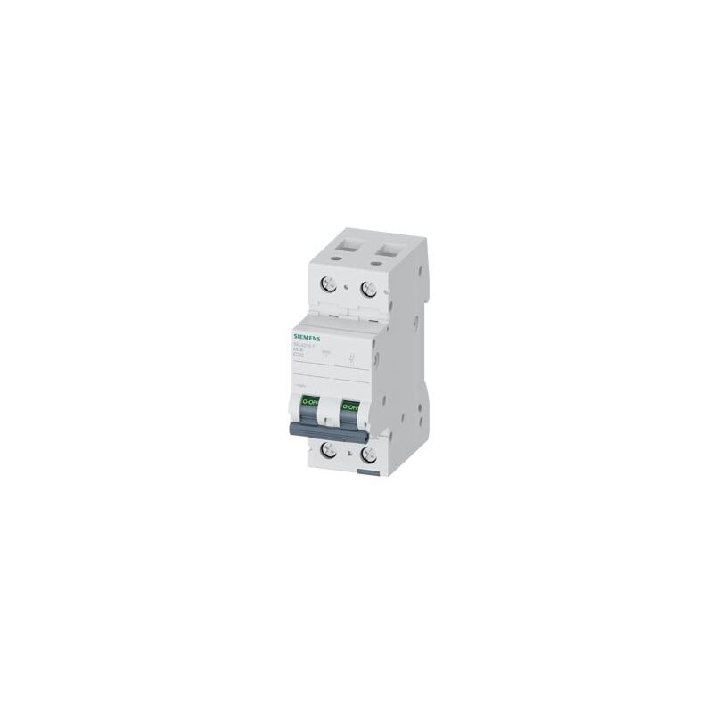 foto del prodotto interruttore magnetotermico 400v 10 ka, a 2 poli, c, 20a icn 10000a